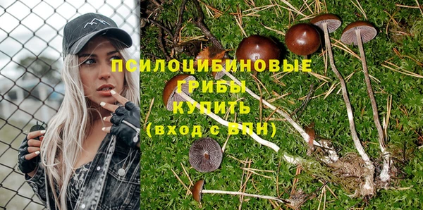 дмт Алексин
